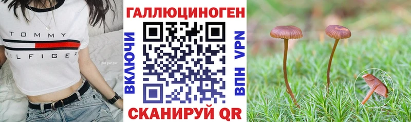 купить  сайты  Южно-Сахалинск  Псилоцибиновые грибы Cubensis 