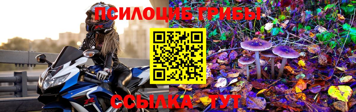 Южно-Сахалинск  Псилоцибиновые грибы Magic Shrooms  как найти   Псилоцибиновые грибы MAGIC MUSHROOMS  Вход с VPN 